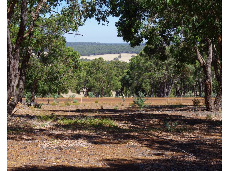 16 Cycad Crescent, Wundowie WA 6560