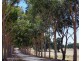 16 Cycad Crescent, Wundowie WA 6560
