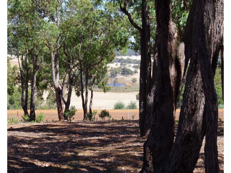 16 Cycad Crescent, Wundowie WA 6560