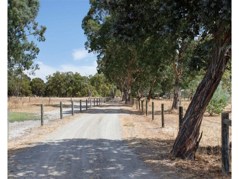 203 Keirnan Street, Whitby WA 6123