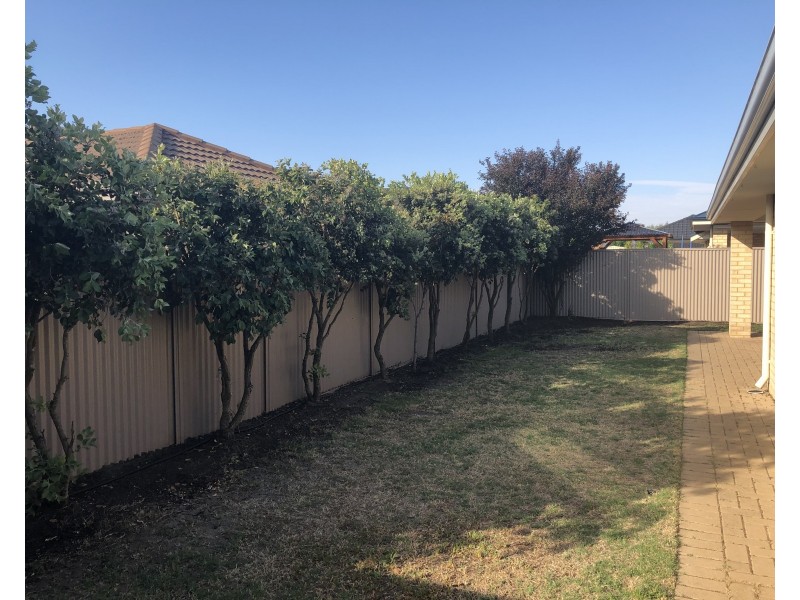 417 Balfour Street, Southern River WA 6110