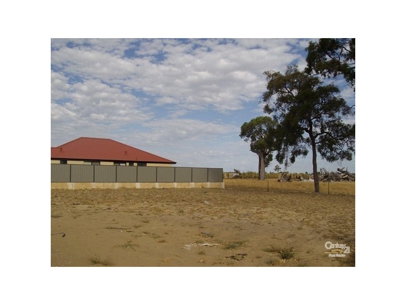 19 Arrino Parade, Baldivis WA 6171