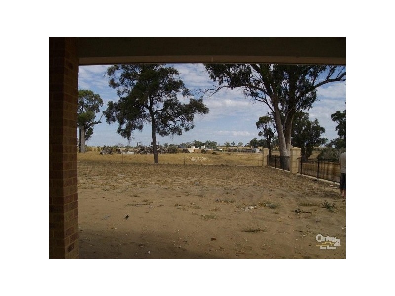 19 Arrino Parade, Baldivis WA 6171