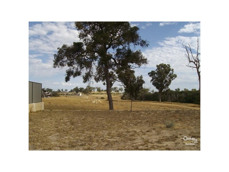 19 Arrino Parade, Baldivis WA 6171