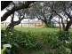 47 Fieldview Chase, Oakford WA 6121