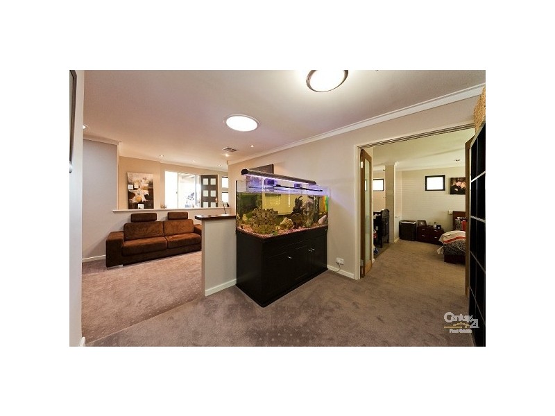 17 Celosia Way, Riverton WA 6148