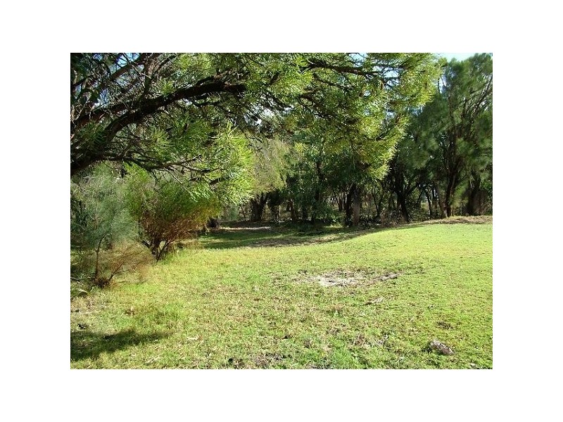 74 Braddock Rd, Wellard WA 6170