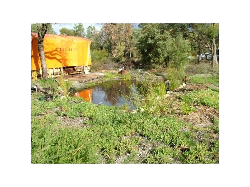 74 Braddock Rd, Wellard WA 6170