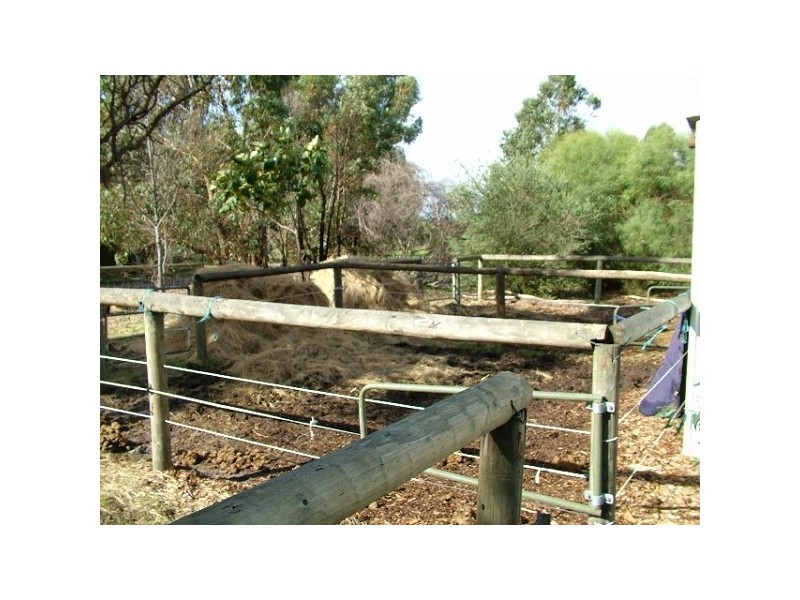 74 Braddock Rd, Wellard WA 6170