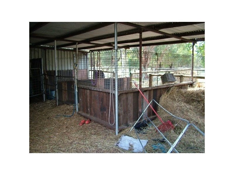 74 Braddock Rd, Wellard WA 6170