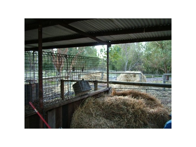 74 Braddock Rd, Wellard WA 6170