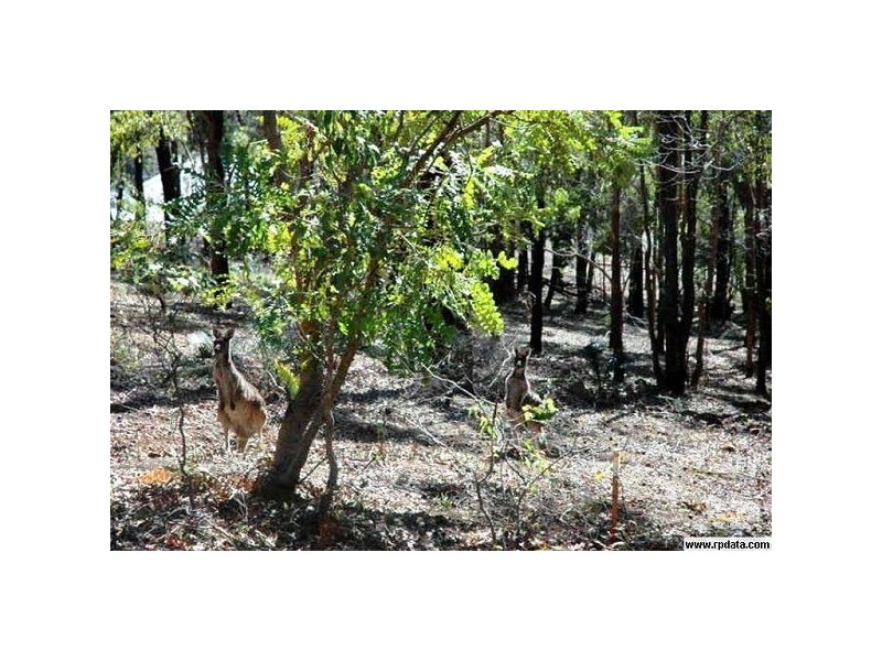 10 Mount Dale View, Roleystone WA 6111