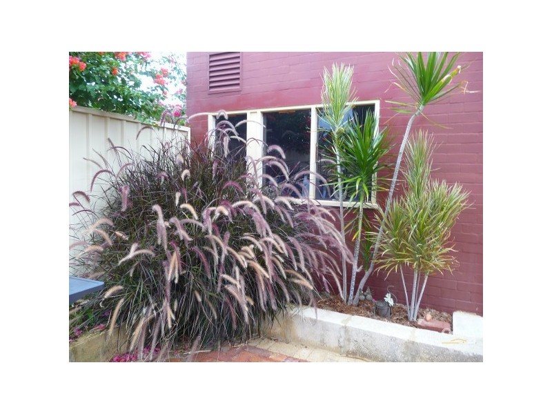 8 Abbey Road, Armadale WA 6112