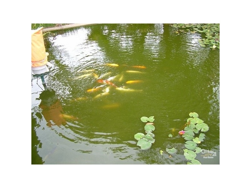 20 Fordham Drive, Swan View WA 6056