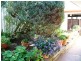 3 Shearn Crescent, Doubleview WA 6018