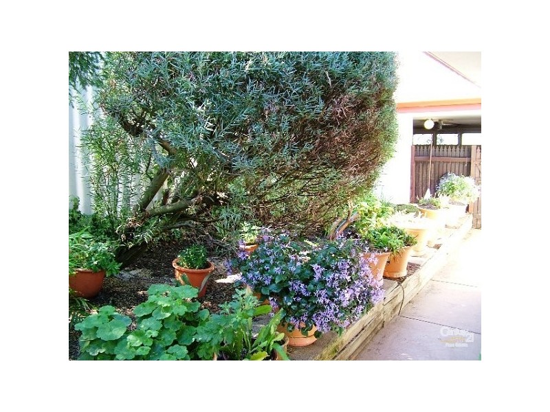 3 Shearn Crescent, Doubleview WA 6018