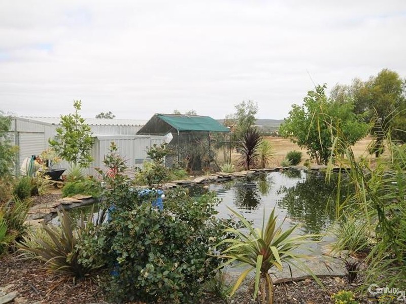 31 Highbury Road West, Narrogin WA 6312