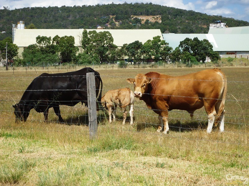 213 Wungong Road, Brookdale WA 6112