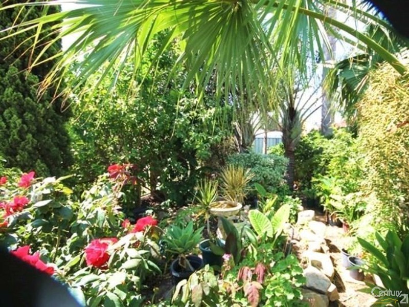 5 Briggs Place Armadale, Armadale WA 6112