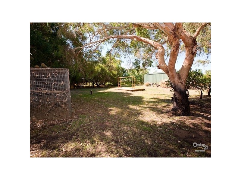 17 St Georges Avenue, Champion Lakes WA 6111
