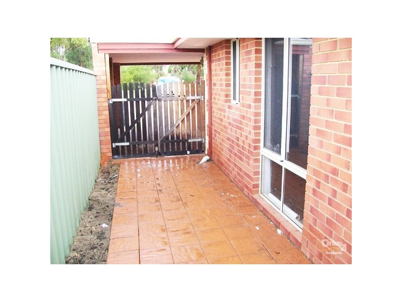 12 Hybanthus Loop, Beeliar WA 6164