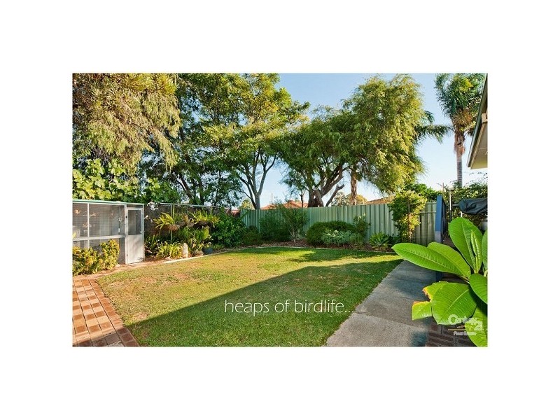 7 Chells Court, Thornlie WA 6108