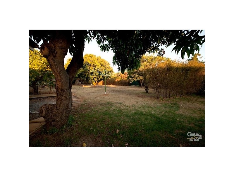 6 Tredale Avenue, Mount Richon WA 6112