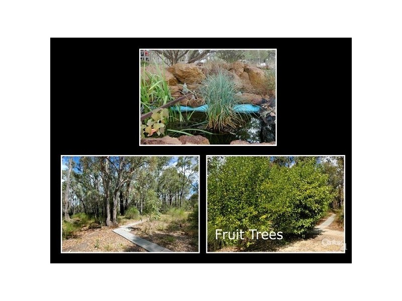 36 Stevens Road, Bedfordale WA 6112