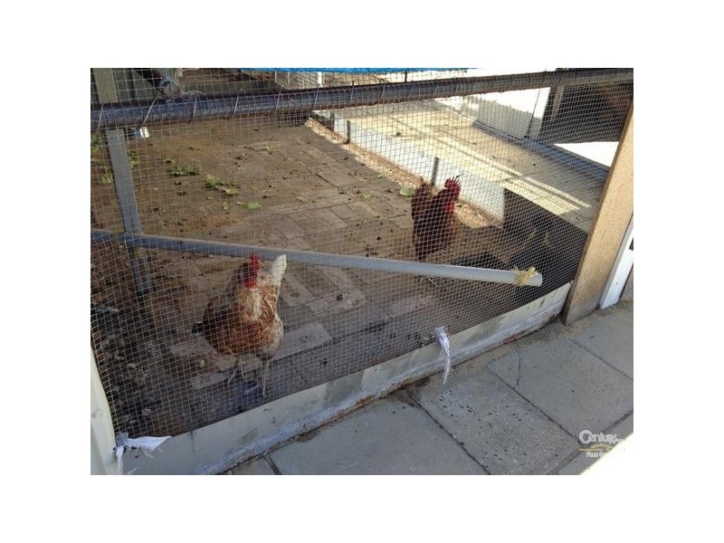 53 Hubbard Way, Medina WA 6167