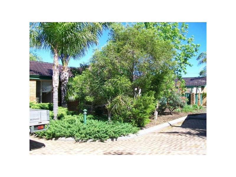 6/41 Tamarind Crescent, Kelmscott WA 6111