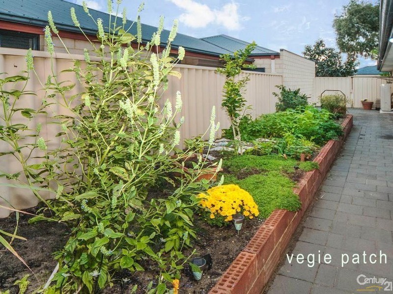 8 Dulcet Link, Atwell WA 6164