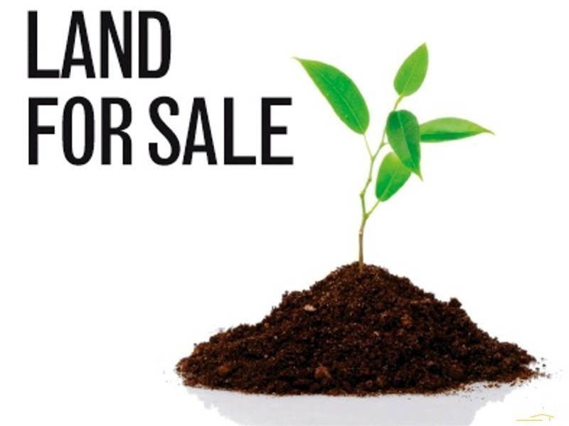 73 Parkway Road, Bibra Lake WA 6163