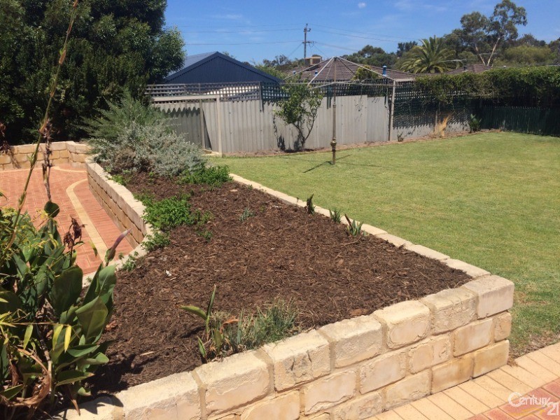 59 Pelican Ramble, Yangebup WA 6164