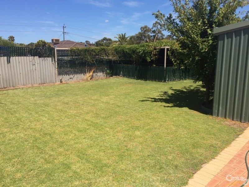 59 Pelican Ramble, Yangebup WA 6164