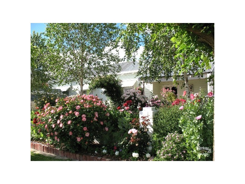 57 Venn Street, Collie WA 6225