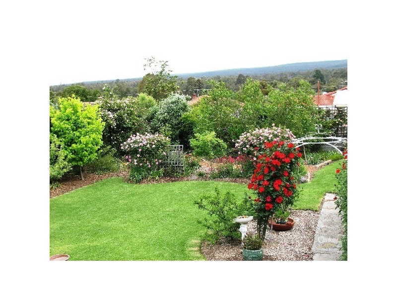 57 Venn Street, Collie WA 6225