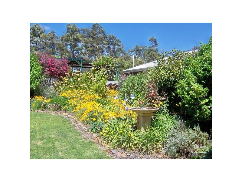 21 Bevan Way, Collie WA 6225