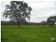 Lot 439 Thompson Road, Cookernup, Harvey WA 6220