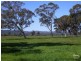 146 Birbeck/Rodway Road, Cookernup, Harvey WA 6220