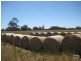 146 Birbeck/Rodway Road, Cookernup, Harvey WA 6220