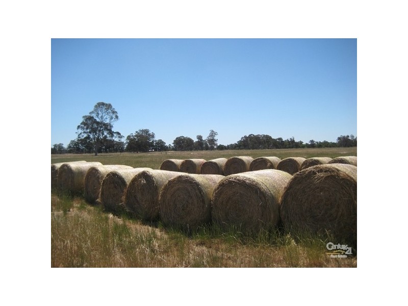 146 Birbeck/Rodway Road, Cookernup, Harvey WA 6220