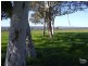 146 Birbeck/Rodway Road, Cookernup, Harvey WA 6220