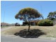 16 Littlefair Drive, Withers WA 6230