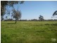 Lot 5 Jackson Street, Harvey WA 6220