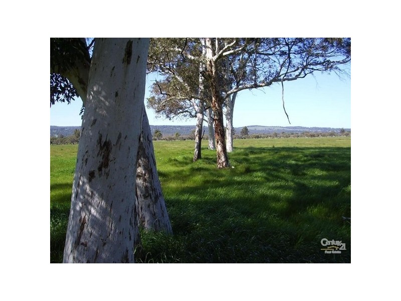 146 Birbeck/Rodway Road, Cookernup, Harvey WA 6220