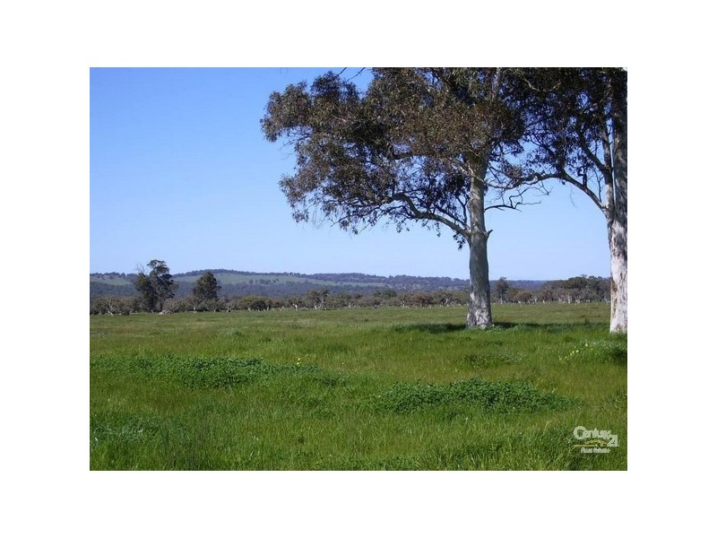 146 Birbeck/Rodway Road, Cookernup, Harvey WA 6220