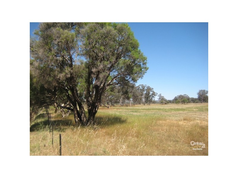 146 Birbeck/Rodway Road, Cookernup, Harvey WA 6220