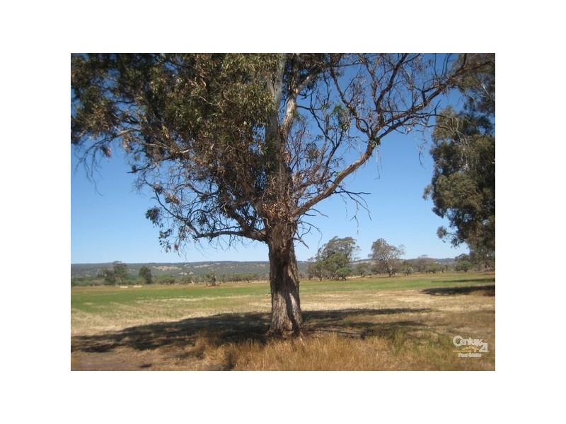 146 Birbeck/Rodway Road, Cookernup, Harvey WA 6220