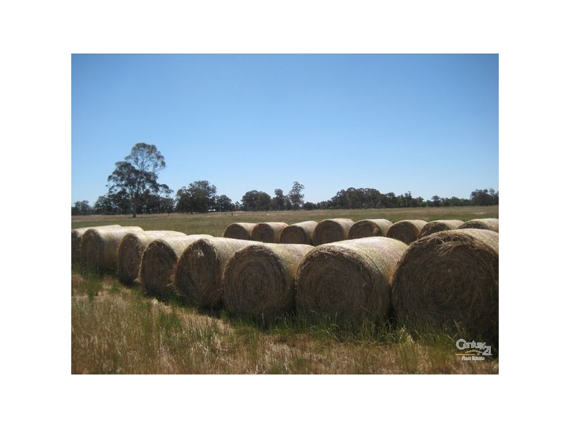 146 Birbeck/Rodway Road, Cookernup, Harvey WA 6220