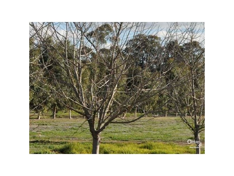 Lot 93 Weir Road, Harvey WA 6220